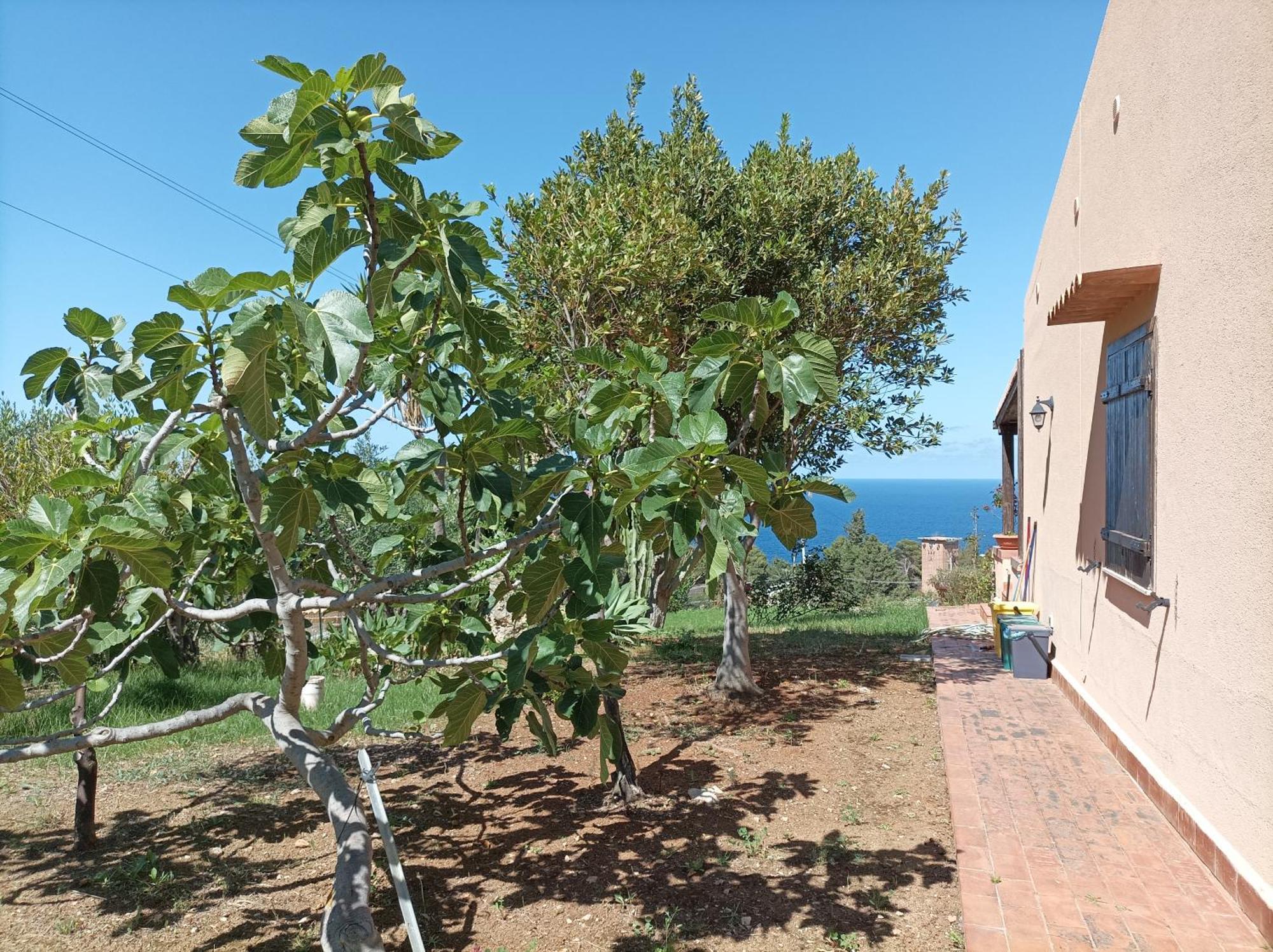 Willa La Terrazza Su Pispisa Castellammare del Golfo Zewnętrze zdjęcie